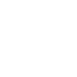 icona-ingrosso-scarlatta