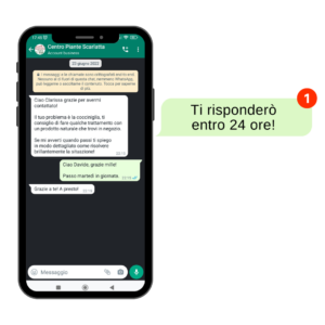 chat-scarlatta-whatsapp