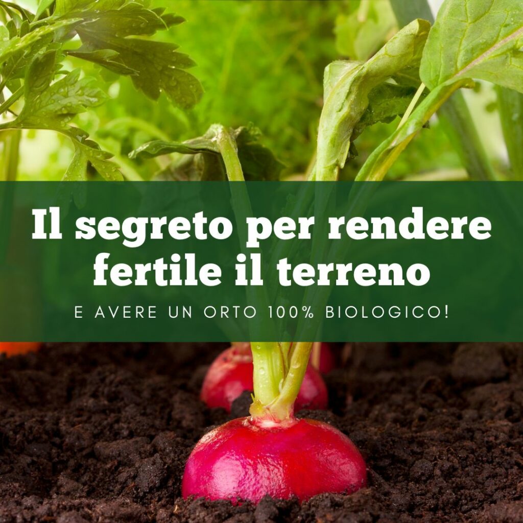 il-segreto-per-rendere-fertile-il-terreno-e-avere-un-orto-100%-biologico