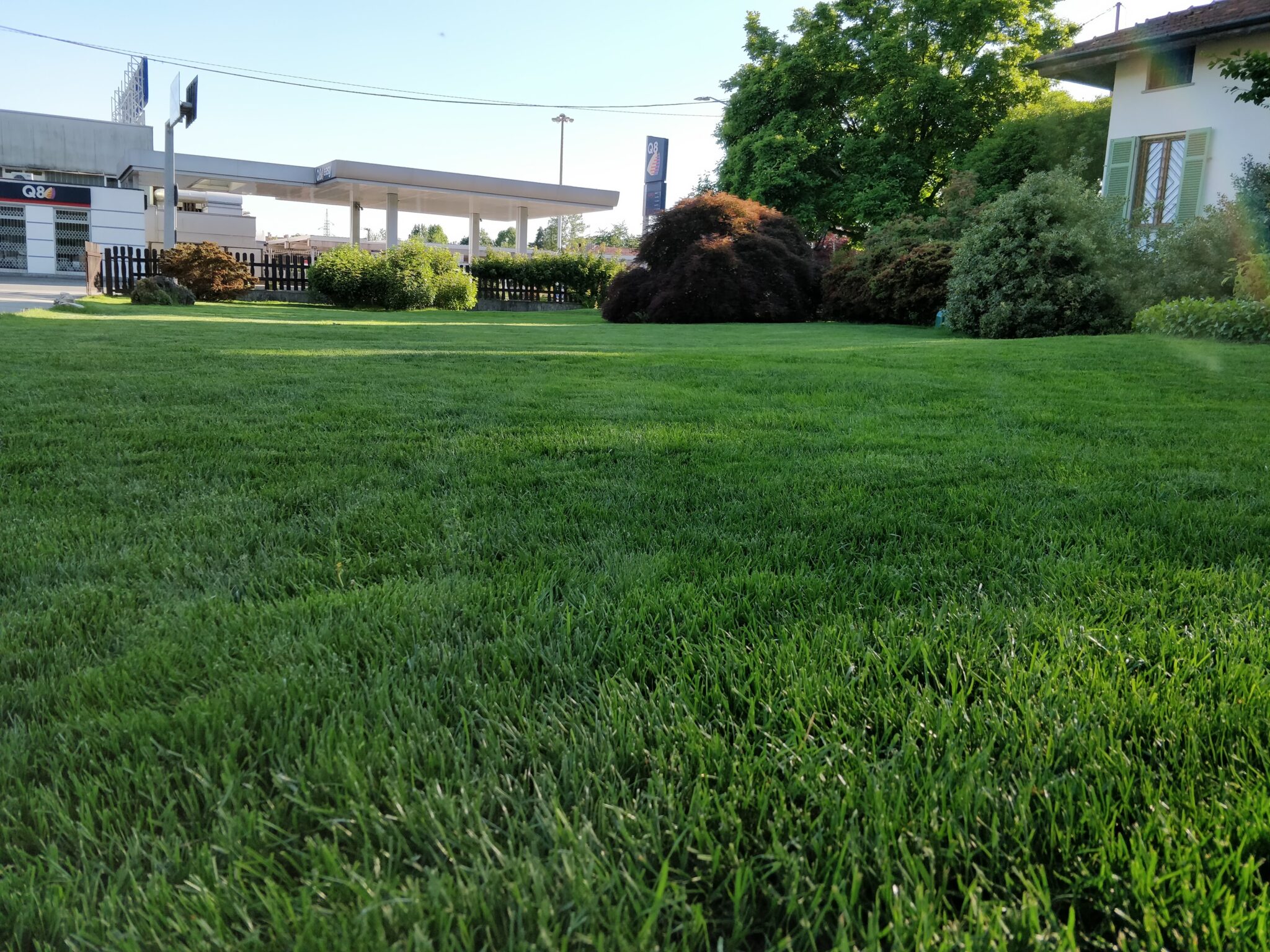Scarlatta Lawn Lab – tappeto erboso sperimentale a Biella
