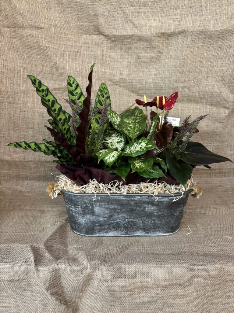 Composizioni floreali