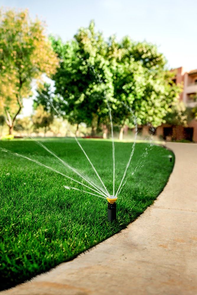 Impianto di irrigazione per tappeto erboso