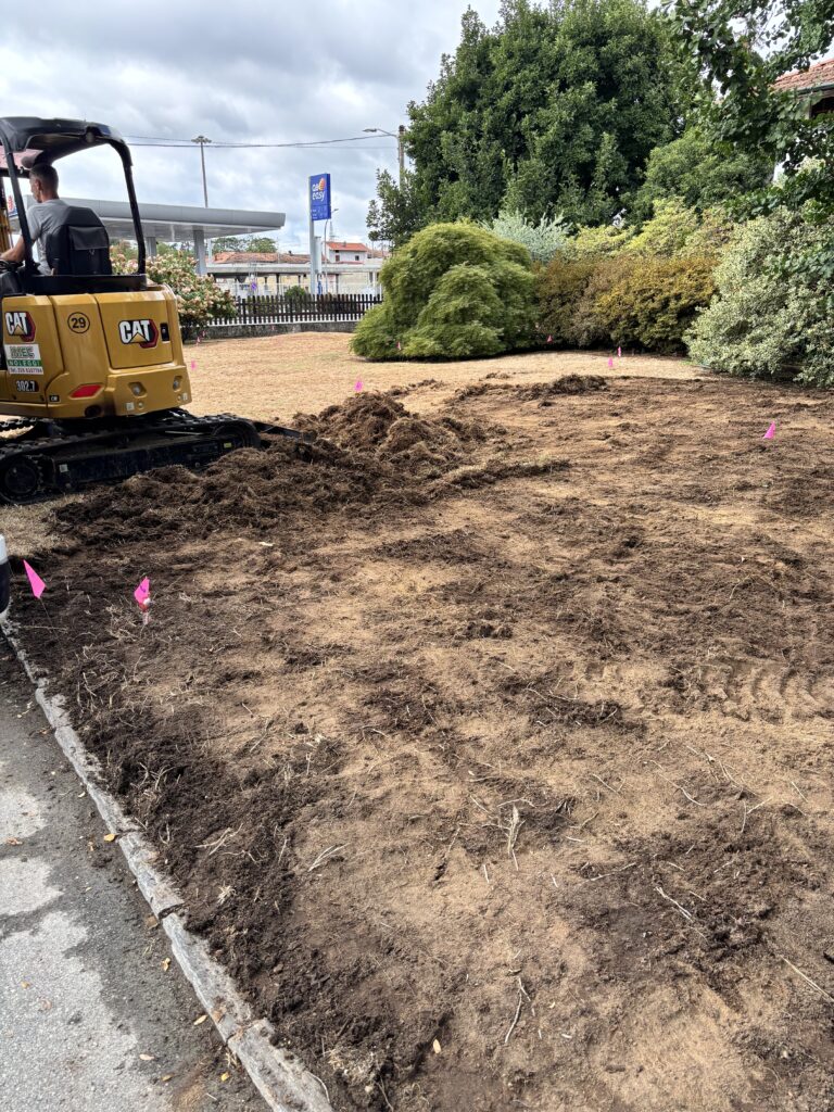 Preparazione del terreno per Scarlatta Lawn Lab